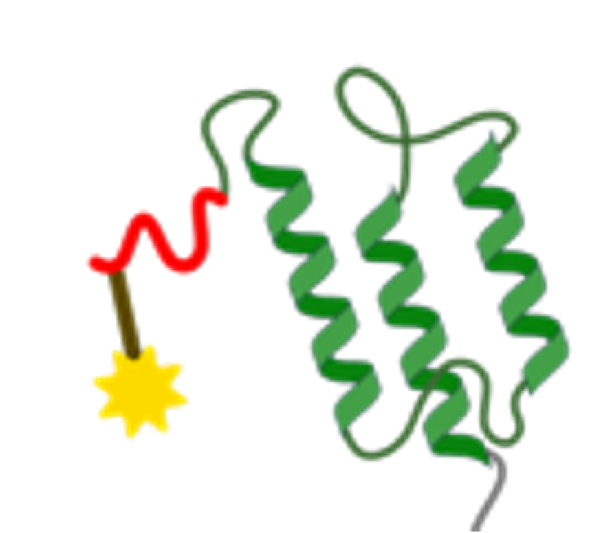 Labeling/Functionalisation