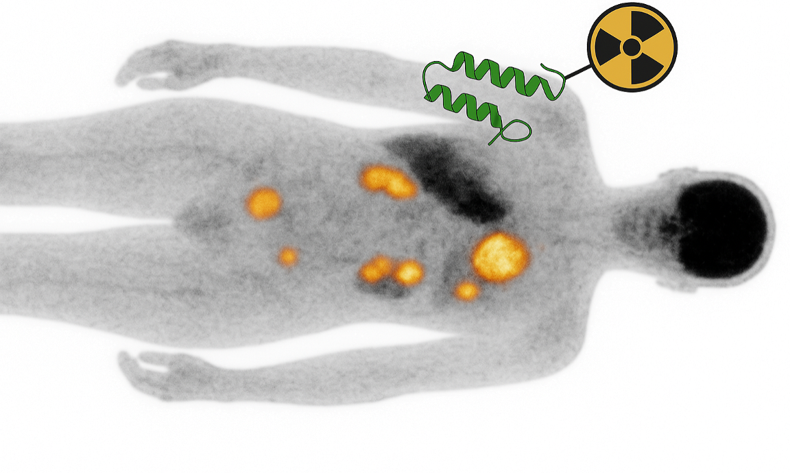 PET imaging illustration